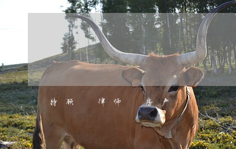 特顾 律师 房产 特顾 律师 房产